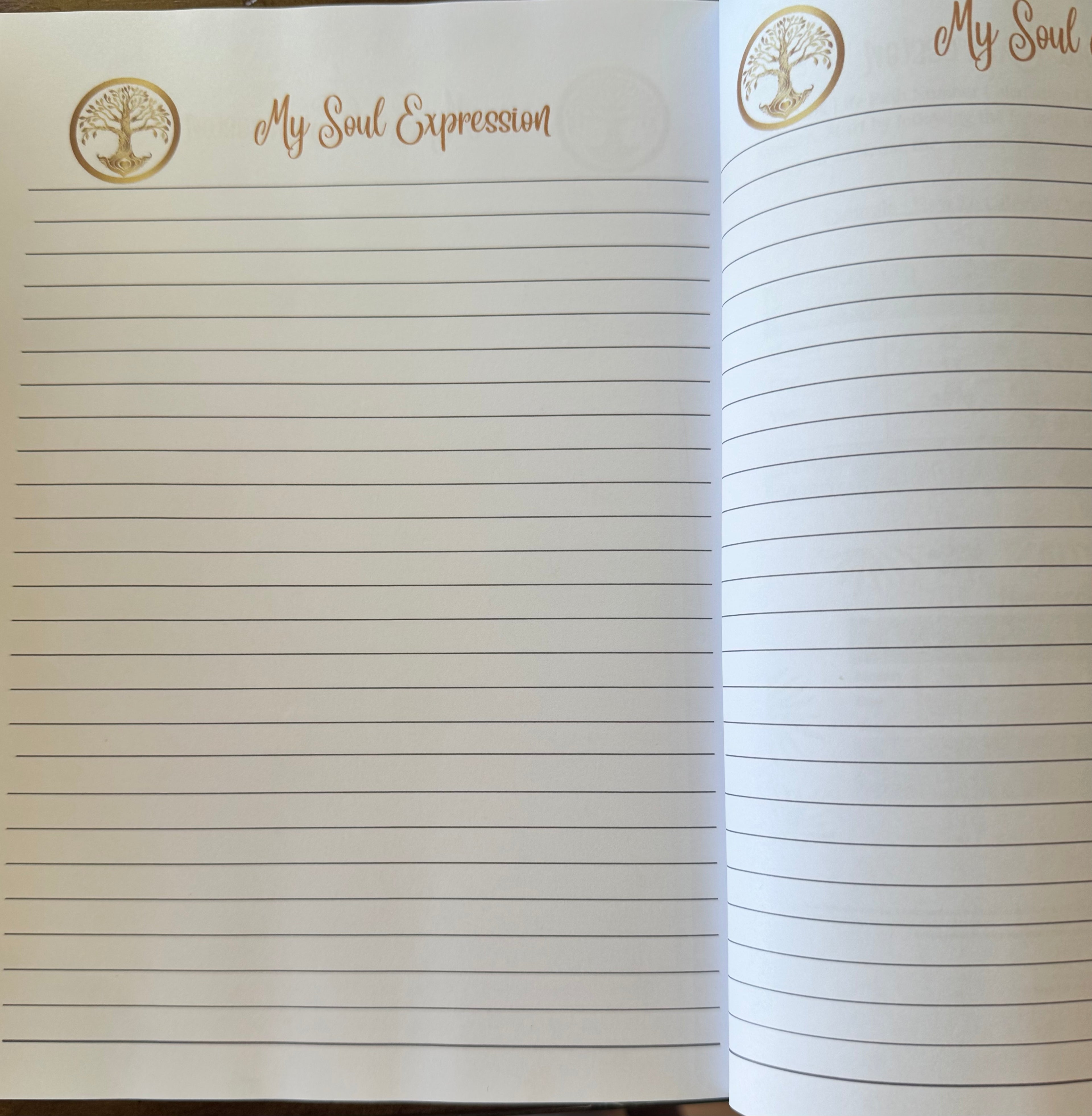 My Soul Expressions Journal